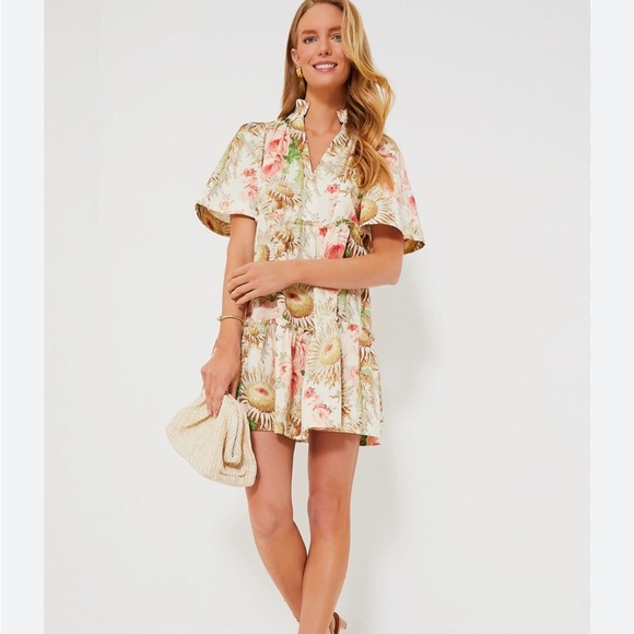 Tuckernuck Crawford Mini Dress Sun Faded Floral V neck Flutter Sleeve XL NEW - Picture 2 of 15